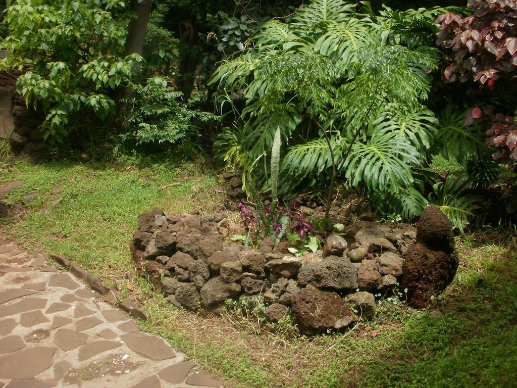 Cabanas Moenga Hanga Roa Exterior foto