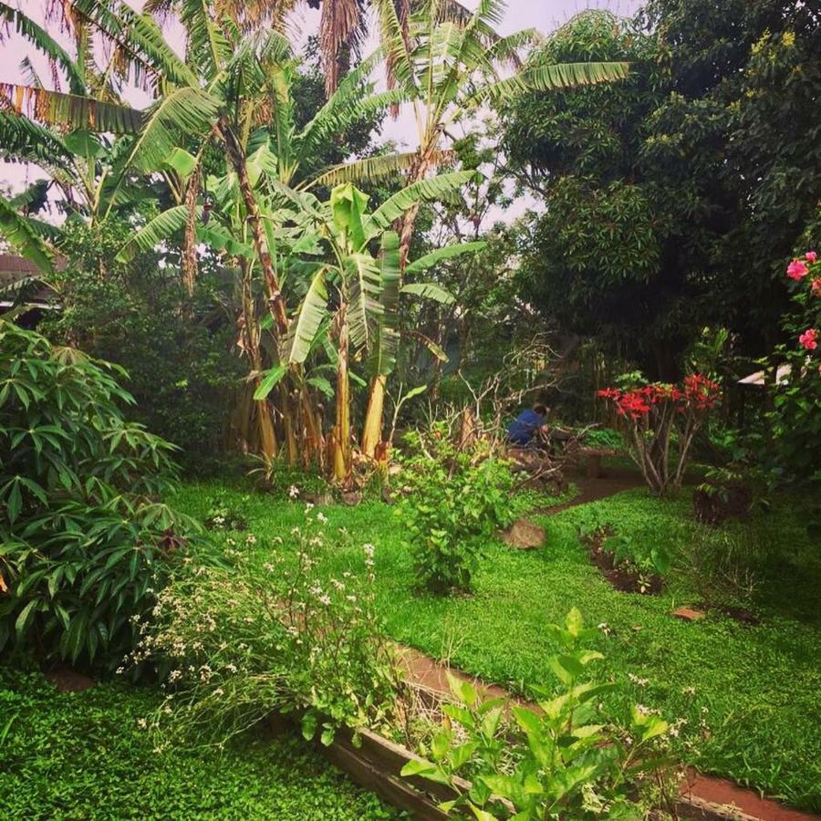 Cabanas Moenga Hanga Roa Exterior foto